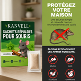 KANVELL™ STOP SOURIS – Sachets Répulsifs Longue Durée